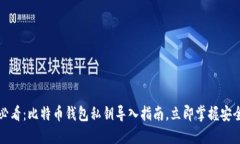 2025必看：比特币钱包私钥导入指南，立即掌握安