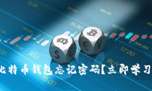如何应对比特币钱包忘记密码？立即学习解决方案！