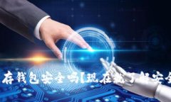 2025必看：比特币存钱包安全吗？现在就了解安全