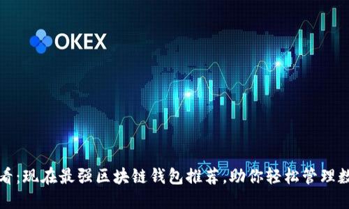 2025必看：现在最强区块链钱包推荐，助你轻松管理数字资产！