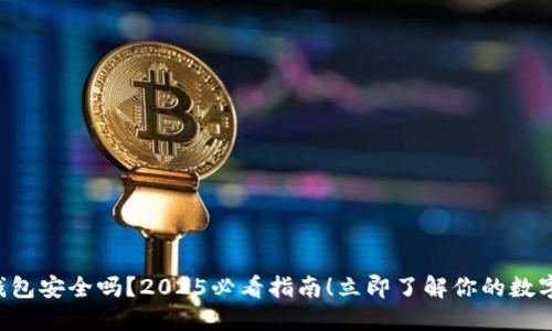 比特币轻钱包安全吗？2025必看指南！立即了解你的数字资产保护！
