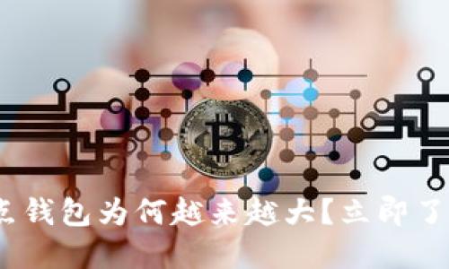 2025必看：比特币全节点钱包为何越来越大？立即了解其背后的技术与趋势！