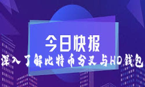 2025必看：深入了解比特币分叉与HD钱包的未来趋势