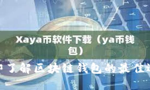 2025必看：立即了解区块链钱包的最佳选择与使用指南