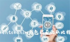 2025必看：Tokentokenim钱包能否收取比特币？立即了