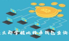 2025必看：立即掌握比特币钱包查询的终极指南