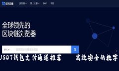立即了解2025年USDT钱包支付通道推荐——高效安全