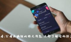 2025必看：公有区块链比特元钱包，立即了解它的