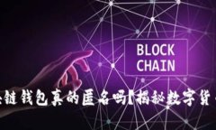 : 2025必看：区块链钱包真的匿名吗？揭秘数字货