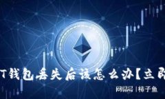 2025必看：USDT钱包丢失后该怎么办？立即学习自救