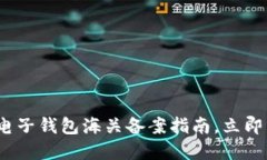 2025必看：虚拟币电子钱包海关备案指南，立即掌
