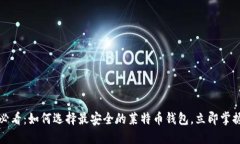2025必看：如何选择最安全的莱特币钱包，立即掌