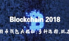 2023年比特币钱包大揭秘：多种选择，现在就来了
