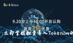 2025必看：立即掌握批量导入Tokenim的实用技巧