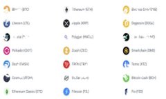 jiaoti2025必看：atoken钱包与tokentokenim钱包全面对比