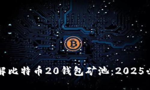 立即了解比特币20钱包矿池：2025必看攻略