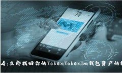 2025必看：立即找回你的TokenTokenim钱包资产的终极
