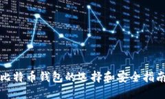 2025必看：比特币钱包的选择和安全指南，立即行