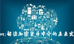 Tokenim：解读加密货币中介的未来发展趋势