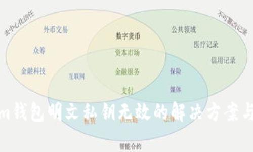 : Tokenim钱包明文私钥无效的解决方案与注意事项