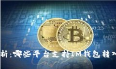 全面解析：哪些平台支持IM钱包转入USDT？