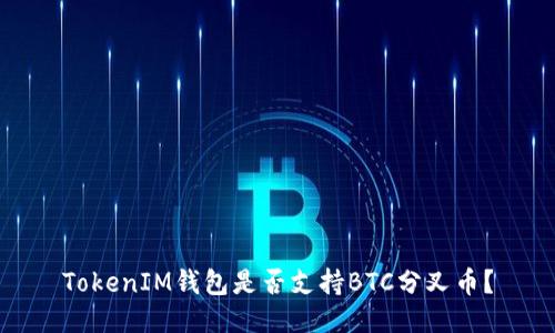 TokenIM钱包是否支持BTC分叉币？