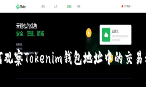 如何观察Tokenim钱包地址中的交易动态