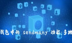 : 深入解析比特币钱包中的 sendmany 功能：多地址