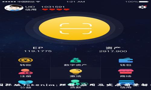 国际版Tokenim：理解、应用及发展前景解析