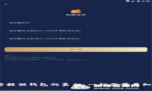 USDT官方提供钱包的真相：一切你需要知道的细节
