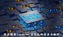   深度解析Tokenim：云钱包的未来与挑战
